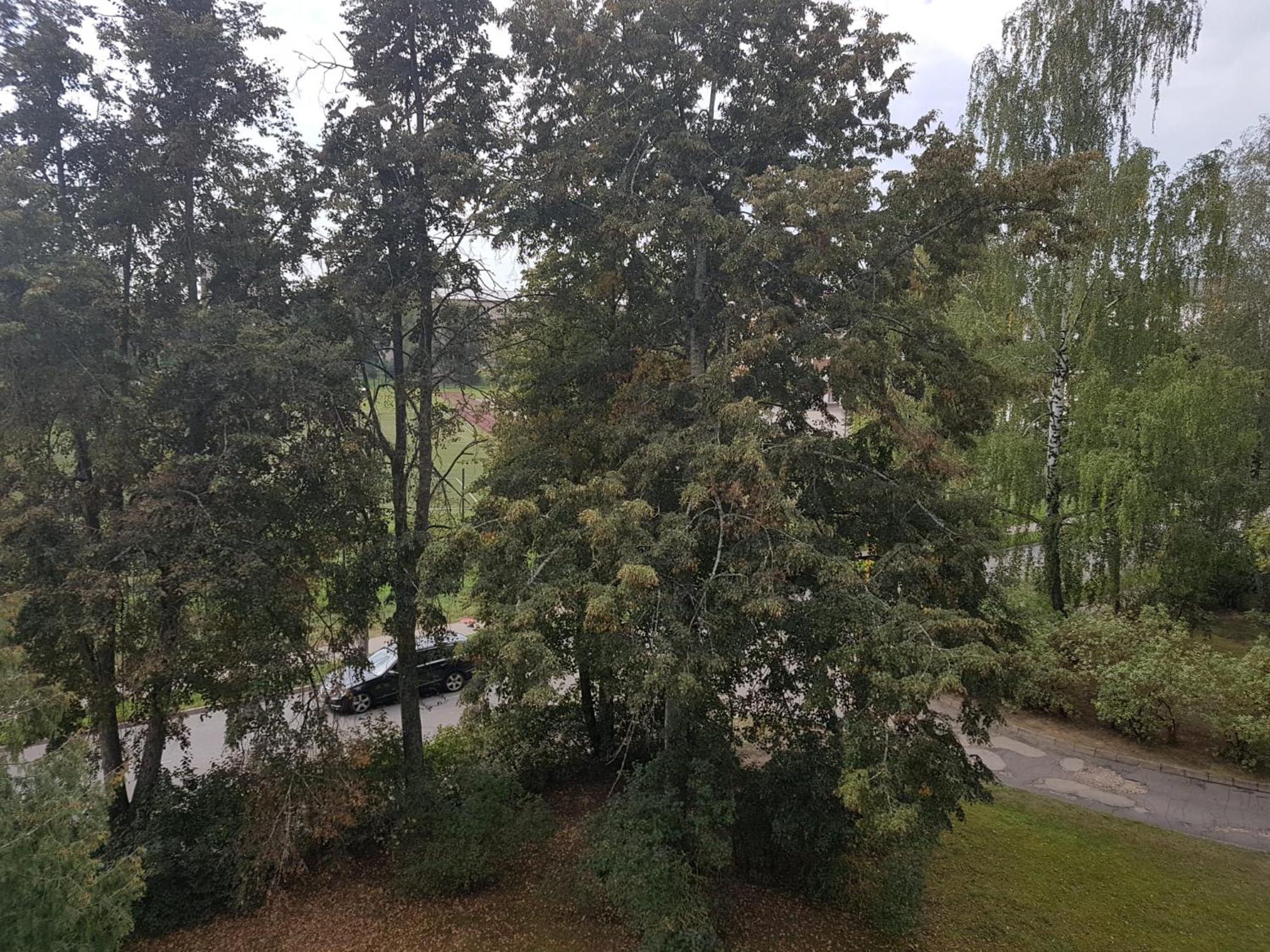 Cialkovska Ximija * Daugavpils